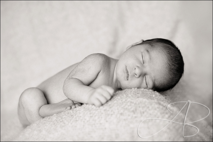 newborn-photography-bayside