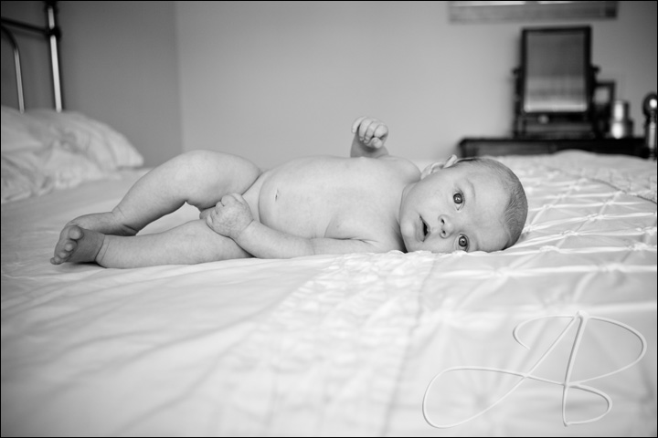 baby-photography-bayside-01