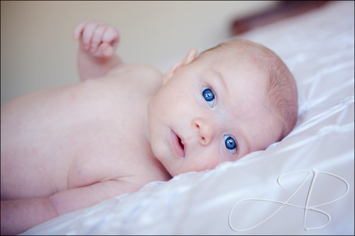 baby-photography-bayside-02