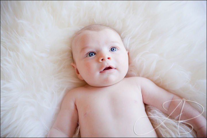 baby-photography-bayside