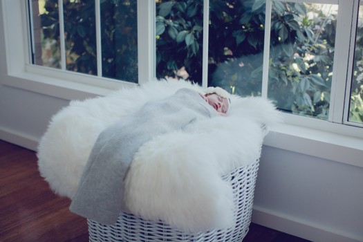 Neve – Baby Photography Melbourne